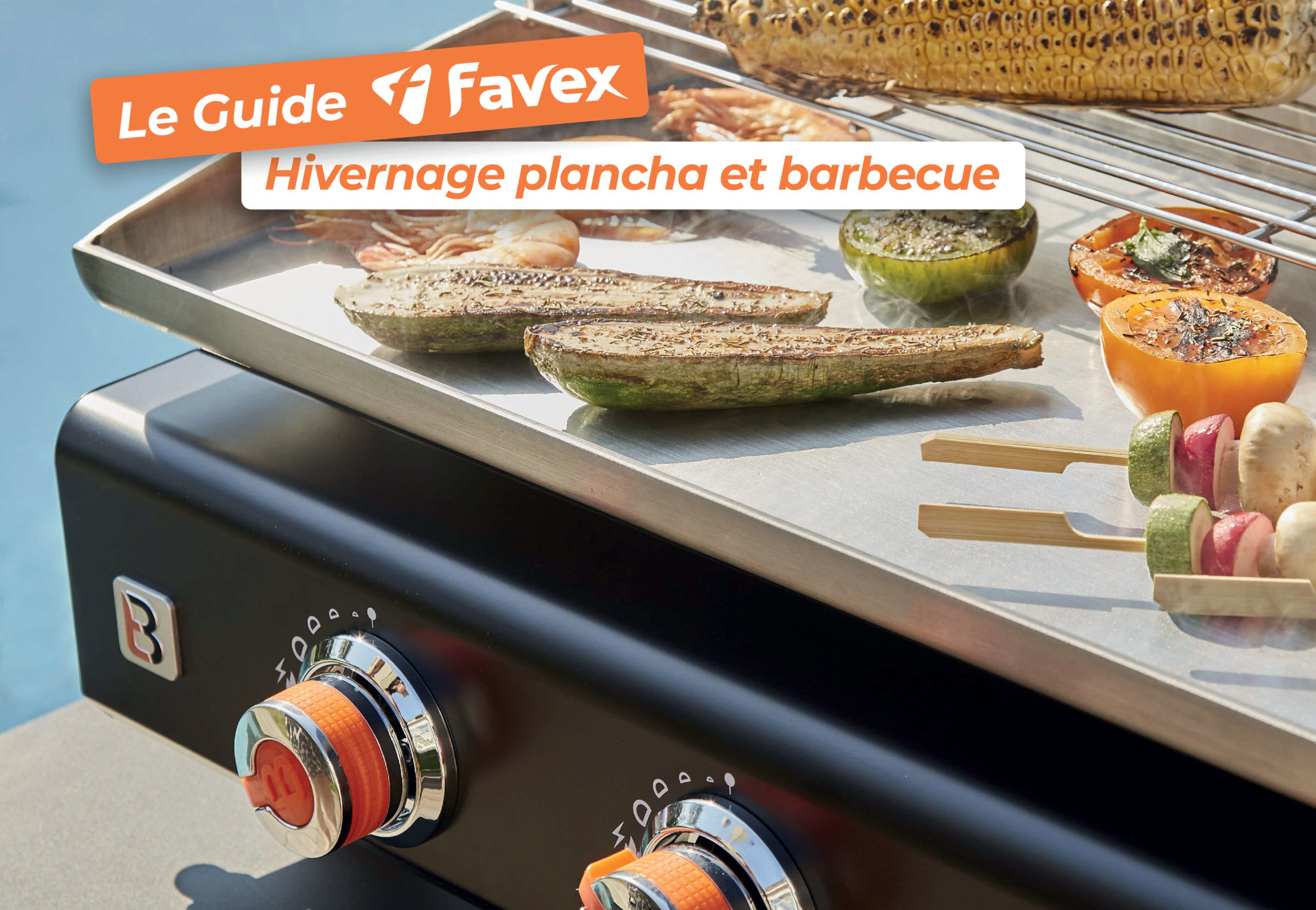 Ranger sa plancha et son barbecue pour l’hiver - Guide Brasero by Favex