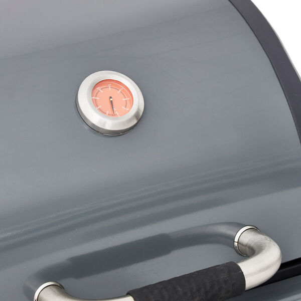 Barbecue Bi Energy Gun Metal Plancha gaz Barbecue charbon Bruleur lateral 3 modes cuisson Brasero